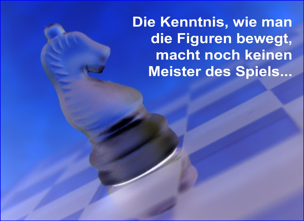Hg_Schach